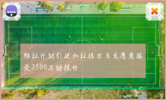 维拉计划引进加拉格尔马竞愿意接受3500万镑报价