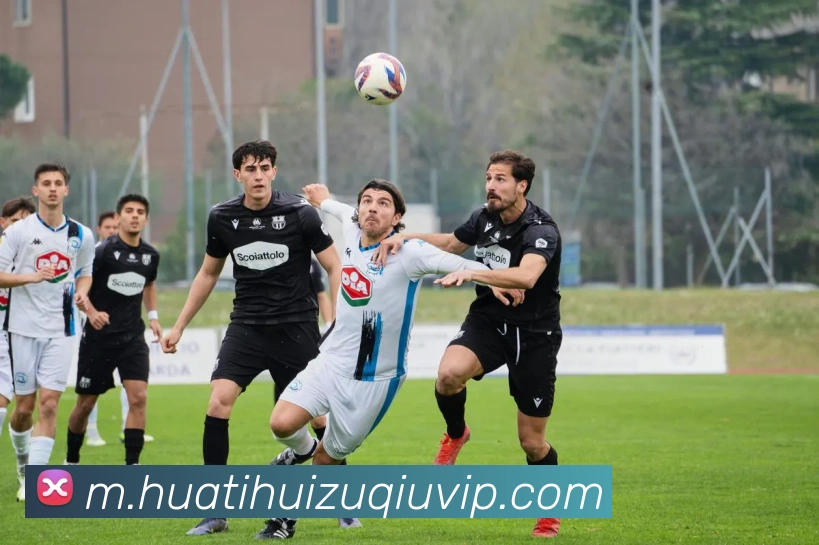 华体会体育APP 封面图